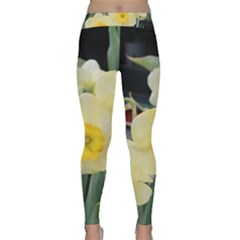 Daffodils In Bloom Classic Yoga Leggings by thedaffodilstore