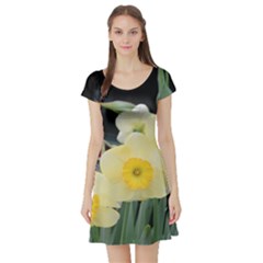 Daffodils In Bloom Short Sleeve Skater Dress