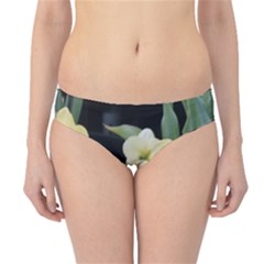 Daffodils In Bloom Hipster Bikini Bottoms by thedaffodilstore