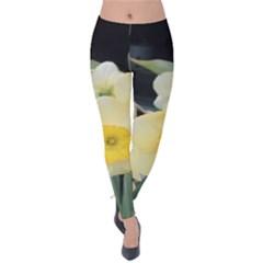 Daffodils In Bloom Velvet Leggings by thedaffodilstore