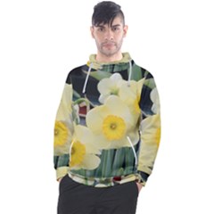 Daffodils In Bloom Men s Pullover Hoodie