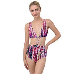 Colorful Bark Tied Up Two Piece Swimsuit