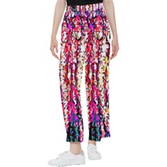 Colorful Bark Women s Pants 