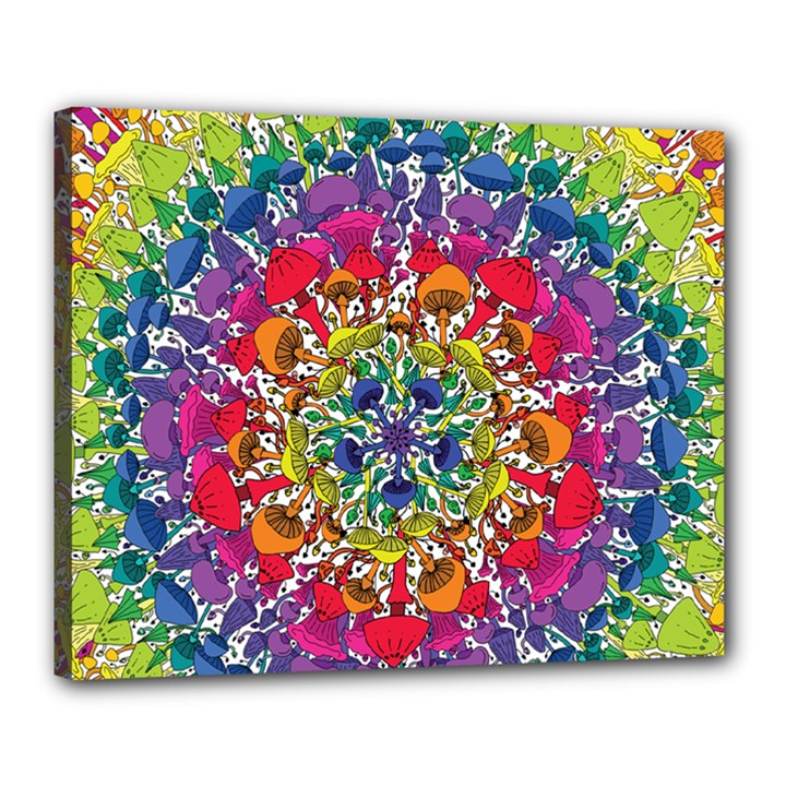 Rainbow Mushroom Mandala Canvas 20  x 16  (Stretched)