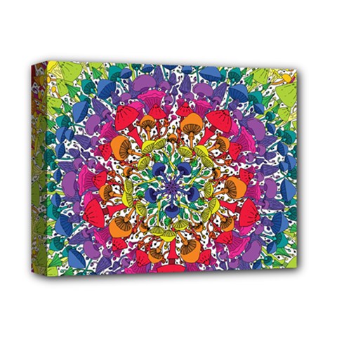 Rainbow Mushroom Mandala Deluxe Canvas 14  X 11  (stretched)