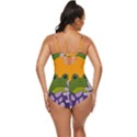 Froggie Retro Full Coverage Swimsuit View4