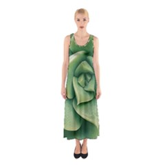 Echeveria Imbricata Closeup Photo Sleeveless Maxi Dress by dflcprintsclothing