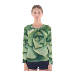 Echeveria Imbricata Closeup Photo Women s Long Sleeve Tee