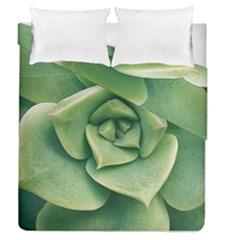 Echeveria Imbricata Closeup Photo Duvet Cover Double Side (queen Size) by dflcprintsclothing