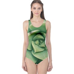 Echeveria Imbricata Closeup Photo One Piece Swimsuit