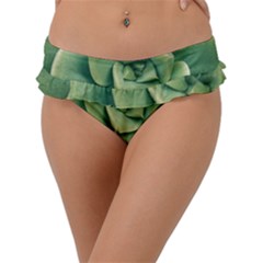 Echeveria Imbricata Closeup Photo Frill Bikini Bottom by dflcprintsclothing