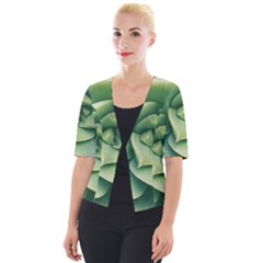 Echeveria Imbricata Closeup Photo Cropped Button Cardigan by dflcprintsclothing