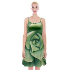 Echeveria Imbricata Closeup Photo Spaghetti Strap Velvet Dress by dflcprintsclothing