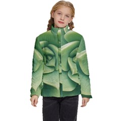 Echeveria Imbricata Closeup Photo Kids  Puffer Bubble Jacket Coat by dflcprintsclothing