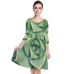 Echeveria Imbricata Closeup Photo Quarter Sleeve Waist Band Dress by dflcprintsclothing