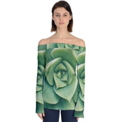 Echeveria Imbricata Closeup Photo Off Shoulder Long Sleeve Top by dflcprintsclothing