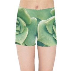 Echeveria Imbricata Closeup Photo Kids  Sports Shorts by dflcprintsclothing