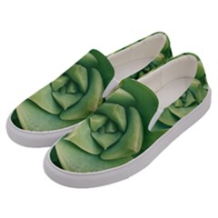 Echeveria Imbricata Closeup Photo Men s Canvas Slip Ons by dflcprintsclothing