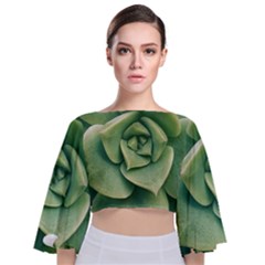 Echeveria Imbricata Closeup Photo Tie Back Butterfly Sleeve Chiffon Top