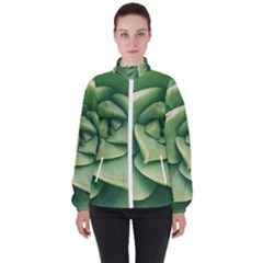 Echeveria Imbricata Closeup Photo Women s High Neck Windbreaker by dflcprintsclothing