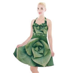 Echeveria Imbricata Closeup Photo Halter Party Swing Dress 