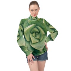 Echeveria Imbricata Closeup Photo High Neck Long Sleeve Chiffon Top by dflcprintsclothing