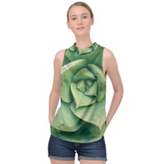 Echeveria Imbricata Closeup Photo High Neck Satin Top by dflcprintsclothing