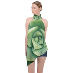 Echeveria Imbricata Closeup Photo Halter Asymmetric Satin Top by dflcprintsclothing