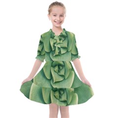 Echeveria Imbricata Closeup Photo Kids  All Frills Chiffon Dress