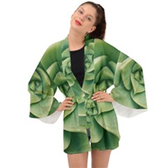 Echeveria Imbricata Closeup Photo Long Sleeve Kimono by dflcprintsclothing