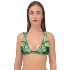 Echeveria Imbricata Closeup Photo Double Strap Halter Bikini Top by dflcprintsclothing