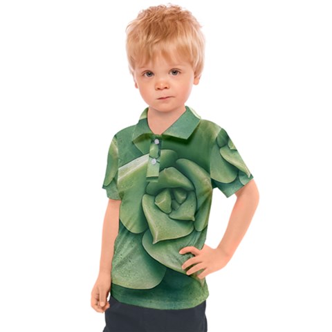 Echeveria Imbricata Closeup Photo Kids  Polo Tee by dflcprintsclothing