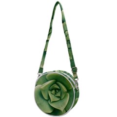 Echeveria Imbricata Closeup Photo Crossbody Circle Bag by dflcprintsclothing