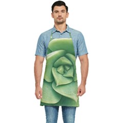 Echeveria Imbricata Closeup Photo Kitchen Apron by dflcprintsclothing