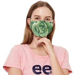 Echeveria Imbricata Closeup Photo Fitted Cloth Face Mask (adult)