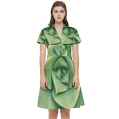 Echeveria Imbricata Closeup Photo Short Sleeve Waist Detail Dress