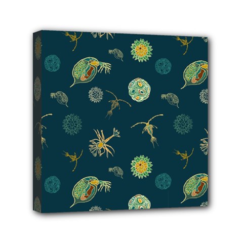 Plankton Pattern- Mini Canvas 6  X 6  (stretched) by Jancukart