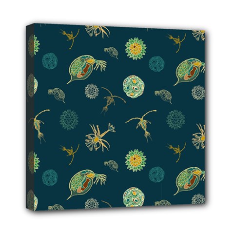 Plankton Pattern- Mini Canvas 8  X 8  (stretched) by Jancukart