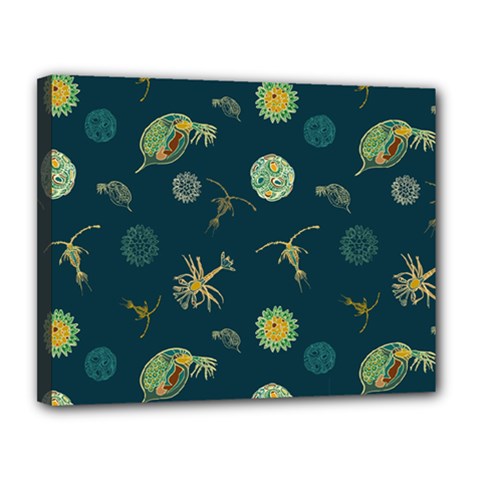 Plankton Pattern- Canvas 14  X 11  (stretched) by Jancukart