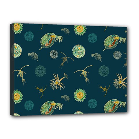 Plankton Pattern- Canvas 16  X 12  (stretched) by Jancukart