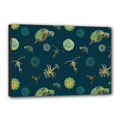 Plankton Pattern- Canvas 18  X 12  (stretched) by Jancukart