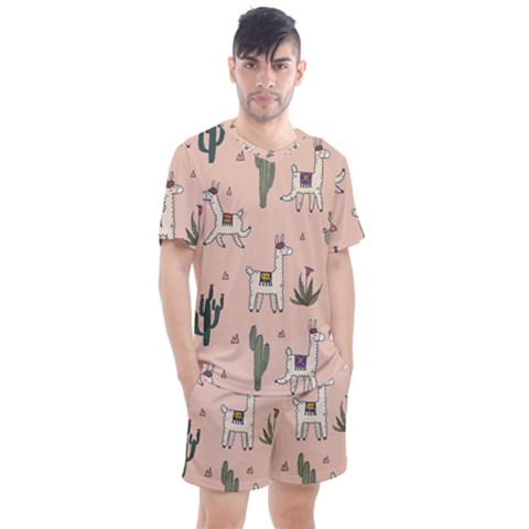 Llamas+pattern Men s Mesh Tee And Shorts Set by Jancukart