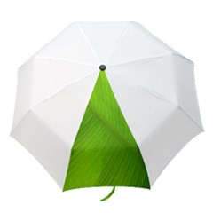 Banana Leaf Folding Umbrellas by artworkshop