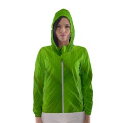 Banana Leaf Women s Hooded Windbreaker by artworkshop