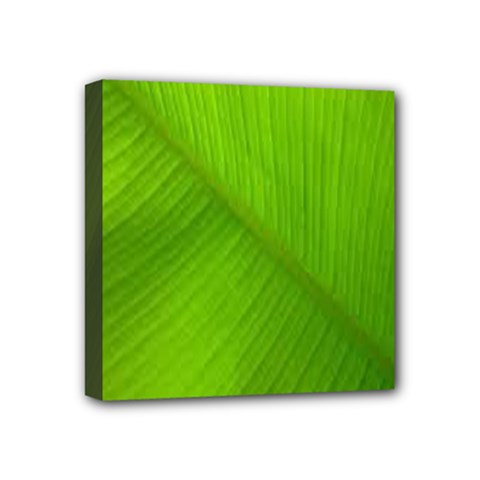 Banana Leaf Mini Canvas 4  X 4  (stretched) by artworkshop