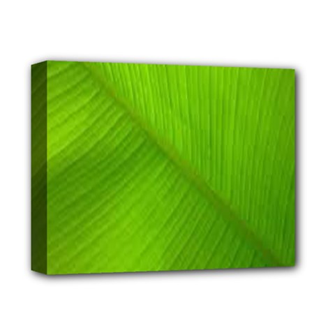 Banana Leaf Deluxe Canvas 14  X 11  (stretched) by artworkshop