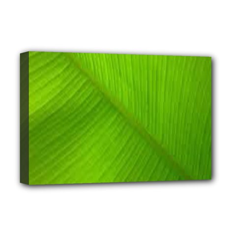 Banana Leaf Deluxe Canvas 18  X 12  (stretched) by artworkshop