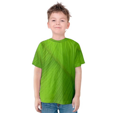 Banana Leaf Kids  Cotton Tee by artworkshop