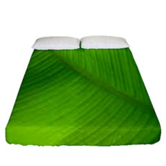 Banana Leaf Fitted Sheet (queen Size) by artworkshop