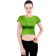 Banana Leaf Crew Neck Crop Top by artworkshop